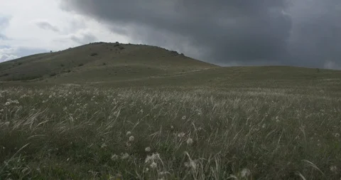 The wind echoes the feather grass against the sky covered with clouds Stock Footage 91402225