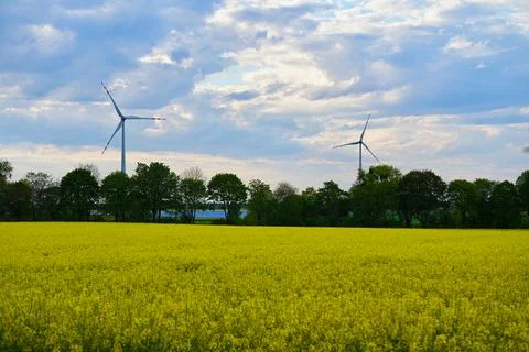 Wind electric generators against a field of flowering rapeseed. Stock Photos