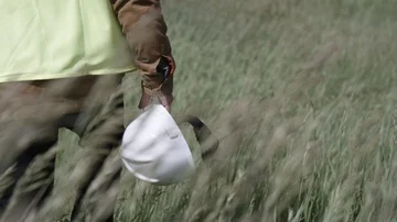 Wind energy construction worker walking in tall windy grass with hard hat Stock Footage 86092012
