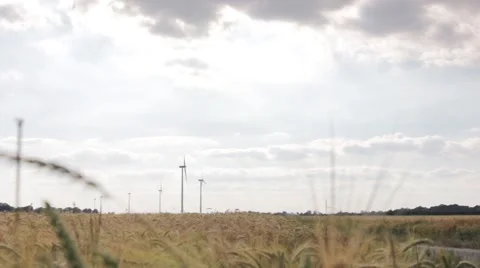 Wind energy on a field. Stock Footage 39993154