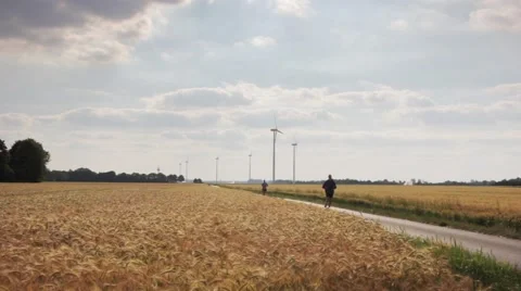 Wind energy on a field. Stock Footage 39993544