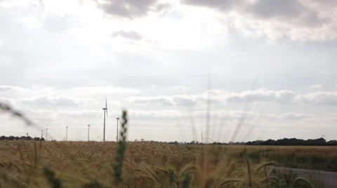 Wind energy on a field. Stock Footage 39994682