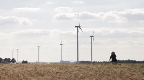 Wind energy on a field. Stock Footage 39996448