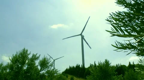 Wind energy olive garden Stock-Footage 8563449