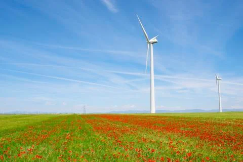 Wind energy Фото