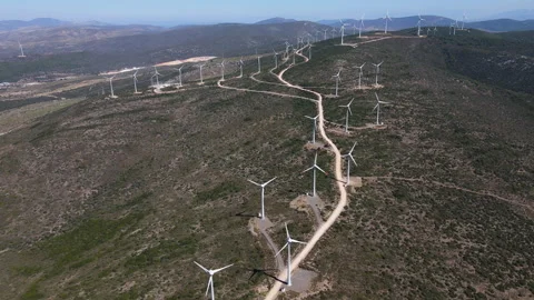 Wind Energy Roses1 Stock-Footage 250041567