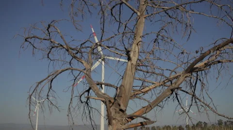 Wind Energy Tribune Stock Footage 65177629