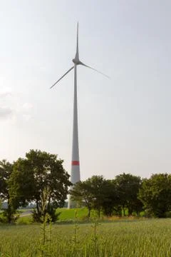 Wind engine near a wheat field with trees Stock Photos