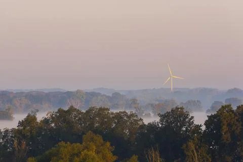 Wind engine standing over big trees hidden in low very dense fog in the early Stock Photos