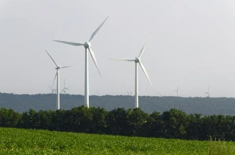 Wind engines between corn field and wood Stock Photos
