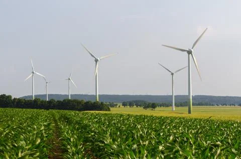 Wind engines between corn field and wood Stock Photos