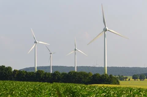 Wind engines between corn field and wood Stock Photos
