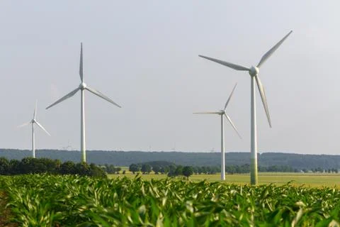 Wind engines between corn field and wood Stock Photos