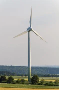 Wind engines between corn field and wood Stock Photos