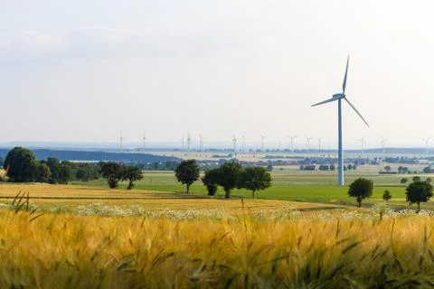Wind engines between corn field and wood Stock Photos