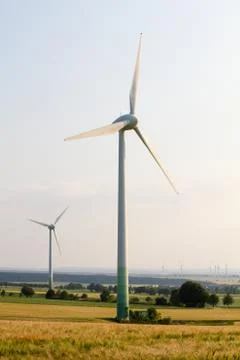 Wind engines between corn field and wood Stock Photos