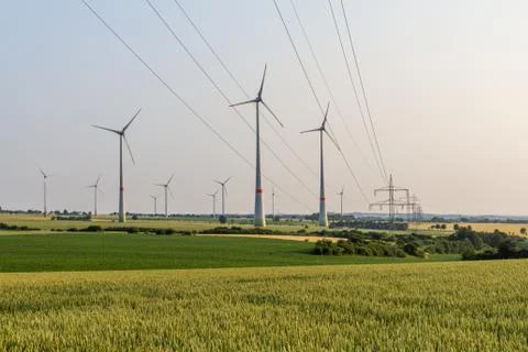 Wind engines between corn field and wood and power lines Stock Photos