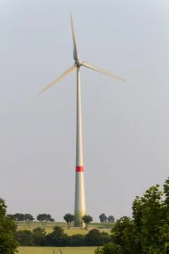 Wind engines between corn field and wood Stock Photos