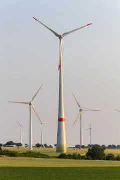 Wind engines between corn field and wood Stock Photos