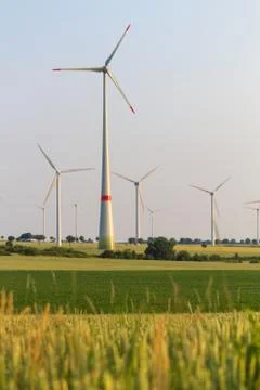Wind engines between corn field and wood Stock Photos