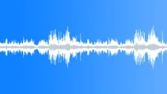 WIND EXTREME THROUGH PALM TREES LOOP STEREOSound Effect