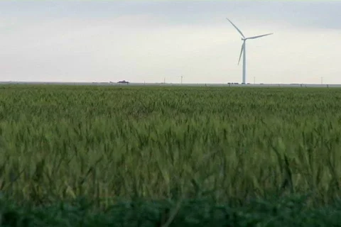 Wind farm 03 Video stock 496579