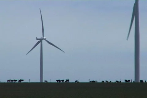 Wind farm 19 Stock Footage 496755