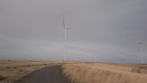 Wind Farm 39 Stock Footage 118491305