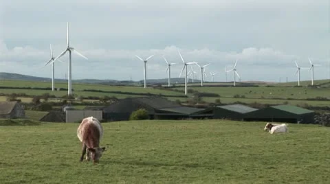 Wind farm and animals in foreground Stock Footage 12503125