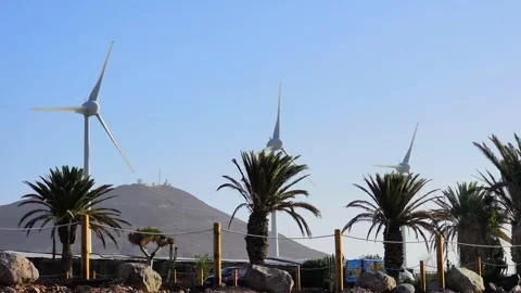 Wind farm in the Canary Islands Stock Footage 297067343