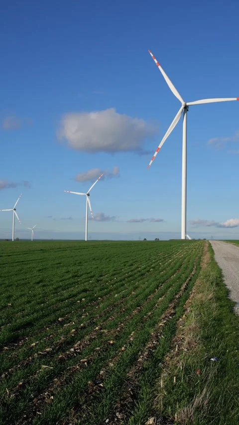 Wind farm in the countryside Stock Footage 262854140