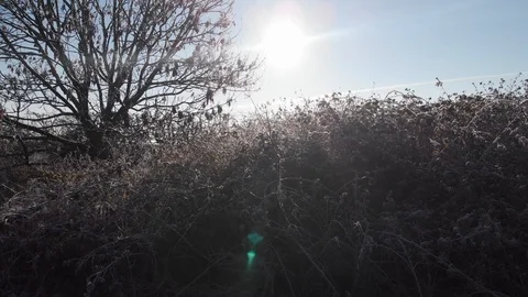 Wind farm drone shot from behind hedge to reveal with radiation mist 库存影片 104919912