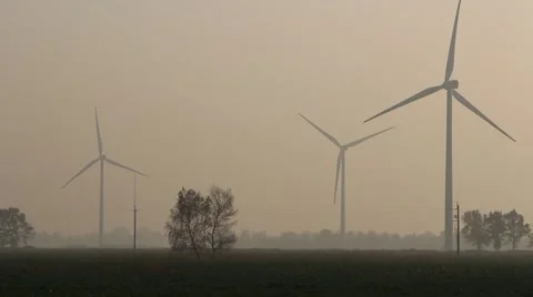 Wind farm at dusk Video stock 43235034