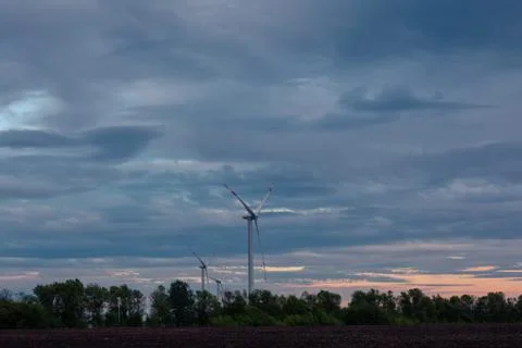 The wind farm in the evening Foto stock