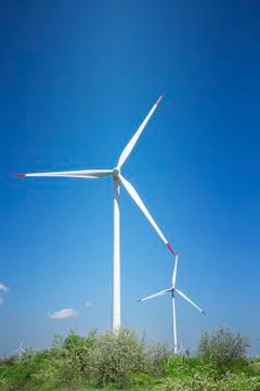 Wind farm in the field Stock Photos