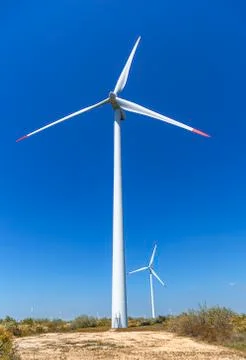 Wind farm in the field Stock Photos