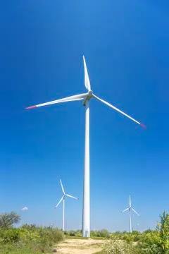 Wind farm in the field Stock Photos