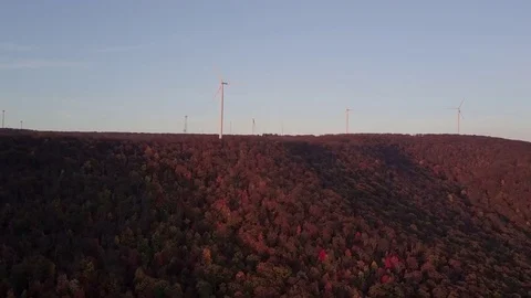Wind Farm Foliage Stock Footage 82620134
