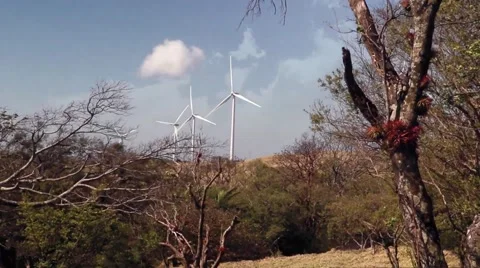 Wind farm Video stock 49268025