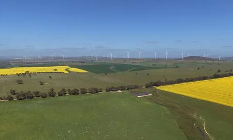 Wind farm generating renewable energy over canola fields Stock-Fotos