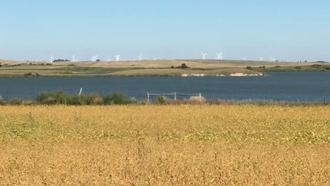 Wind Farm on Horizon 스톡 동영상 79932399