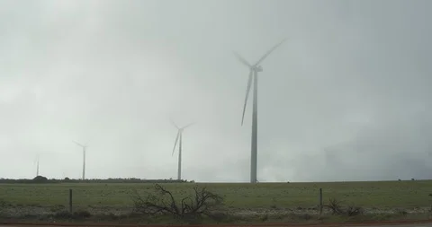 Wind farm with low cloud passing through Stock Footage 115034491