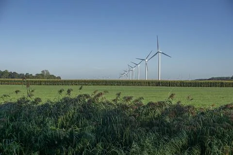 Wind farm with multiple turbines in grassy field under blue sky Foto stock
