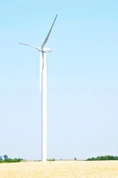 Wind farm 库存照片