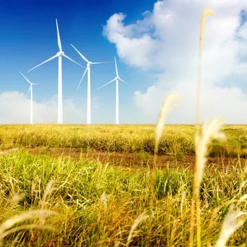 Wind farm Stock Photos