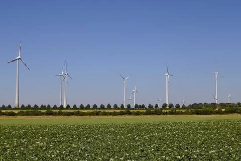 The wind-farm Stock Photos