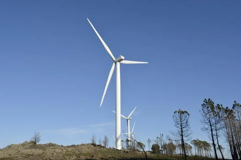 Wind Farm Stock Photos
