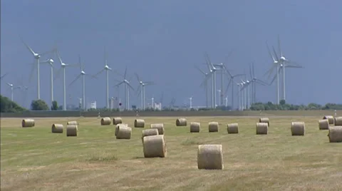 Wind Farm in polder countryside, Round hay bales in field Stock Footage