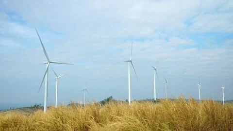Wind farm for power generation in beautiful skies and swaying grass. Wind tur Video stock 168884092