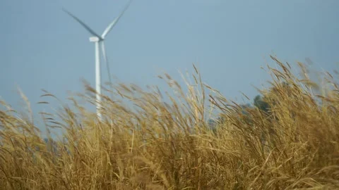 Wind farm for power generation in beautiful skies and swaying grass. Wind tur Stock Footage 169088615